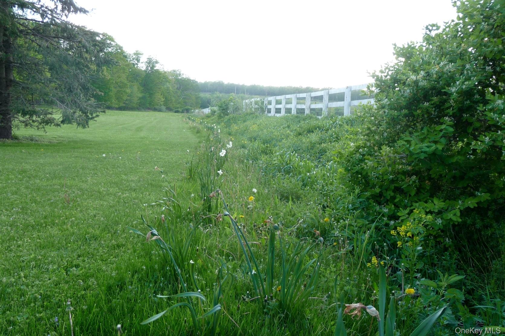 7 Charlie Hill Road Millerton, NY 12546 - Photo 34 of 34 Perennial border
