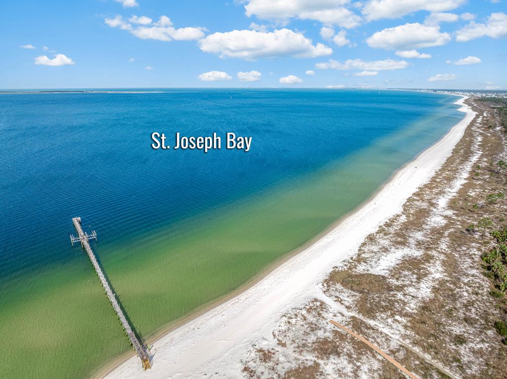 803 Backwater Road Port St. Joe, FL 32456 - Photo 51 of 59