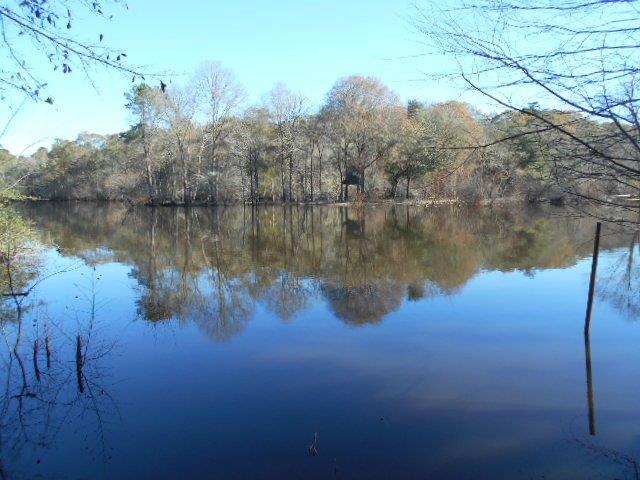 1309 Camp Buddy Road Ridgeville, SC 29472 - Photo 12 of 48 DSCN3636