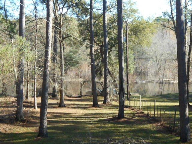 1309 Camp Buddy Road Ridgeville, SC 29472 - Photo 34 of 48 DSCN3667