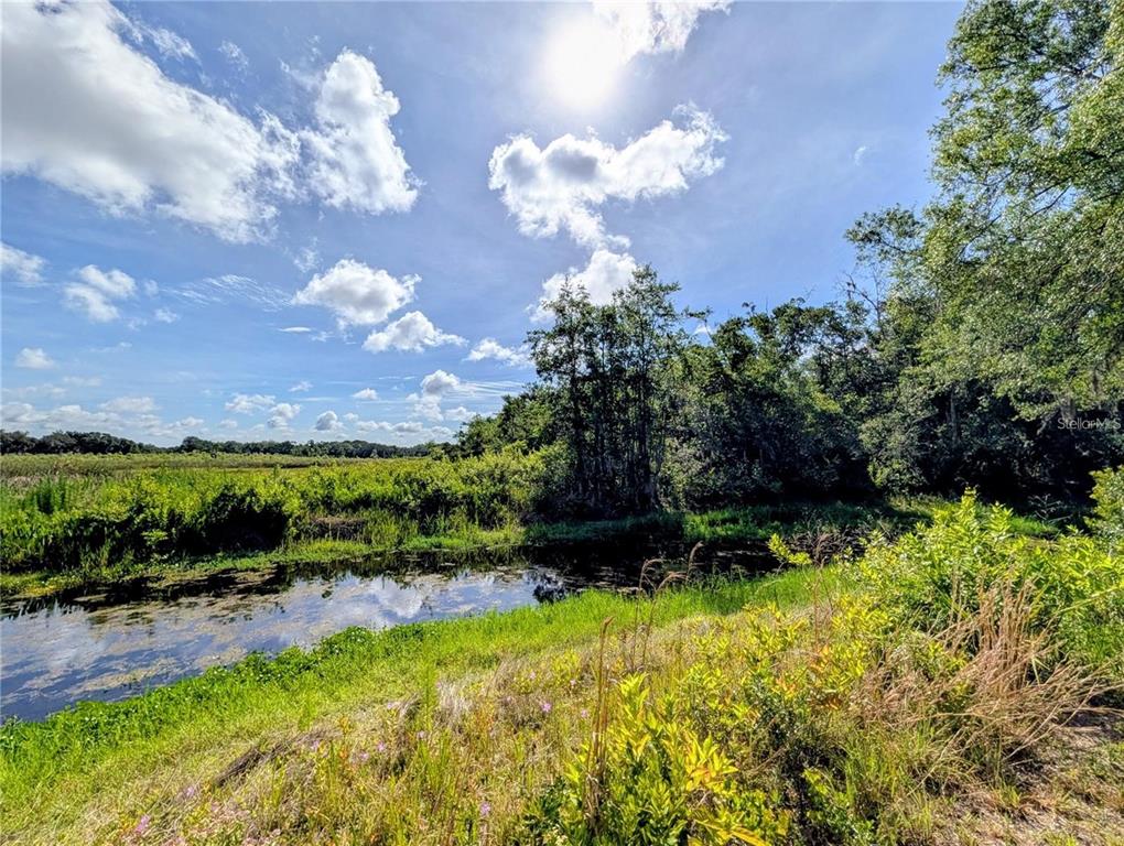 0 North Toro Drive Inverness, FL 34453 - Photo 7 of 12