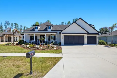 $1,600,000 | 3944 Cove Lake Place, Land O' Lakes, FL 34639
