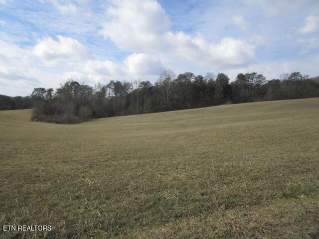 Jarnagin Avenue Rutledge, TN 37861 - Photo 2 of 6 IMG_4343
