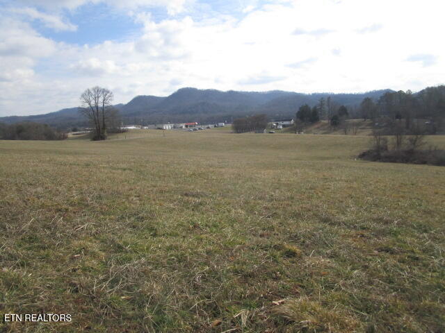 Jarnagin Avenue Rutledge, TN 37861 - Photo 4 of 6 IMG_4345