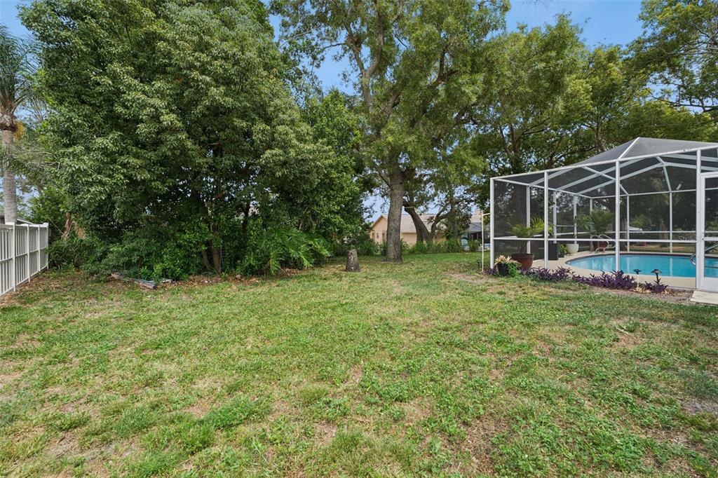 1236 Lansing Drive Spring Hill, FL 34608 - Photo 44 of 65