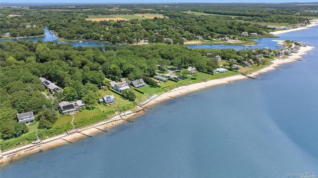a view of a garden with a ocean view