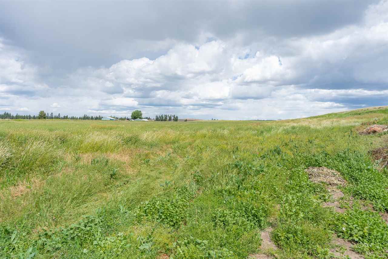 South Stangland Road Medical Lake, WA 99022 - Photo 4 of 9 Gallery Image 4