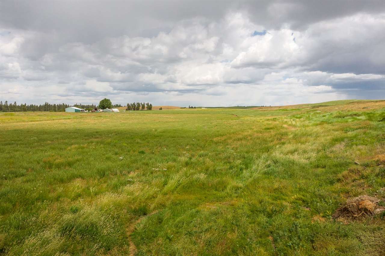 South Stangland Road Medical Lake, WA 99022 - Photo 7 of 9 Gallery Image 7