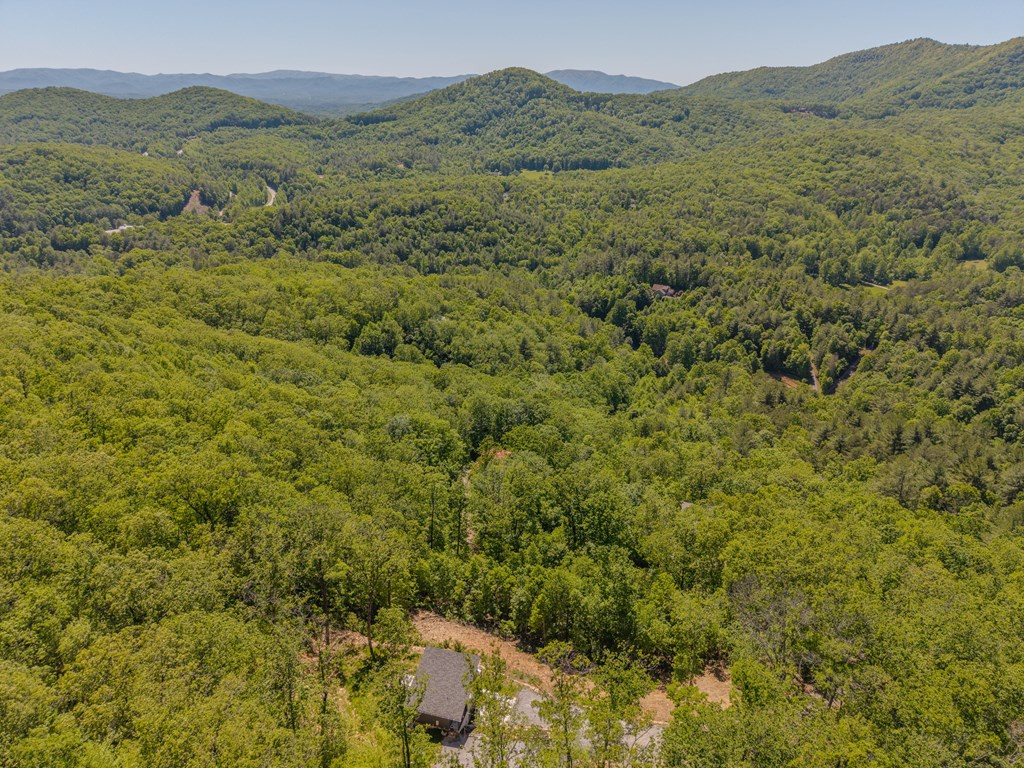 58 Mutt Ridge Murphy, NC 28906 - Photo 11 of 40