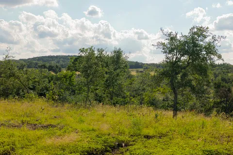 $850,000 | Lot 11 Maddalena Lane, Dripping Springs, TX 78620