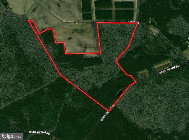 a view of a backyard with plants and a park