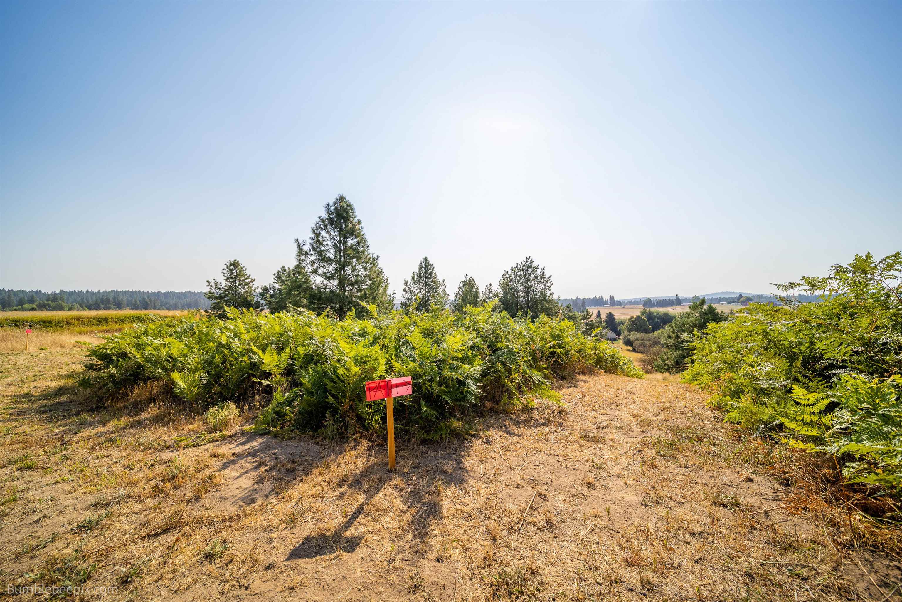 27211 North Monroe Road Deer Park, WA 99006 - Photo 40 of 49 Gallery Image 40