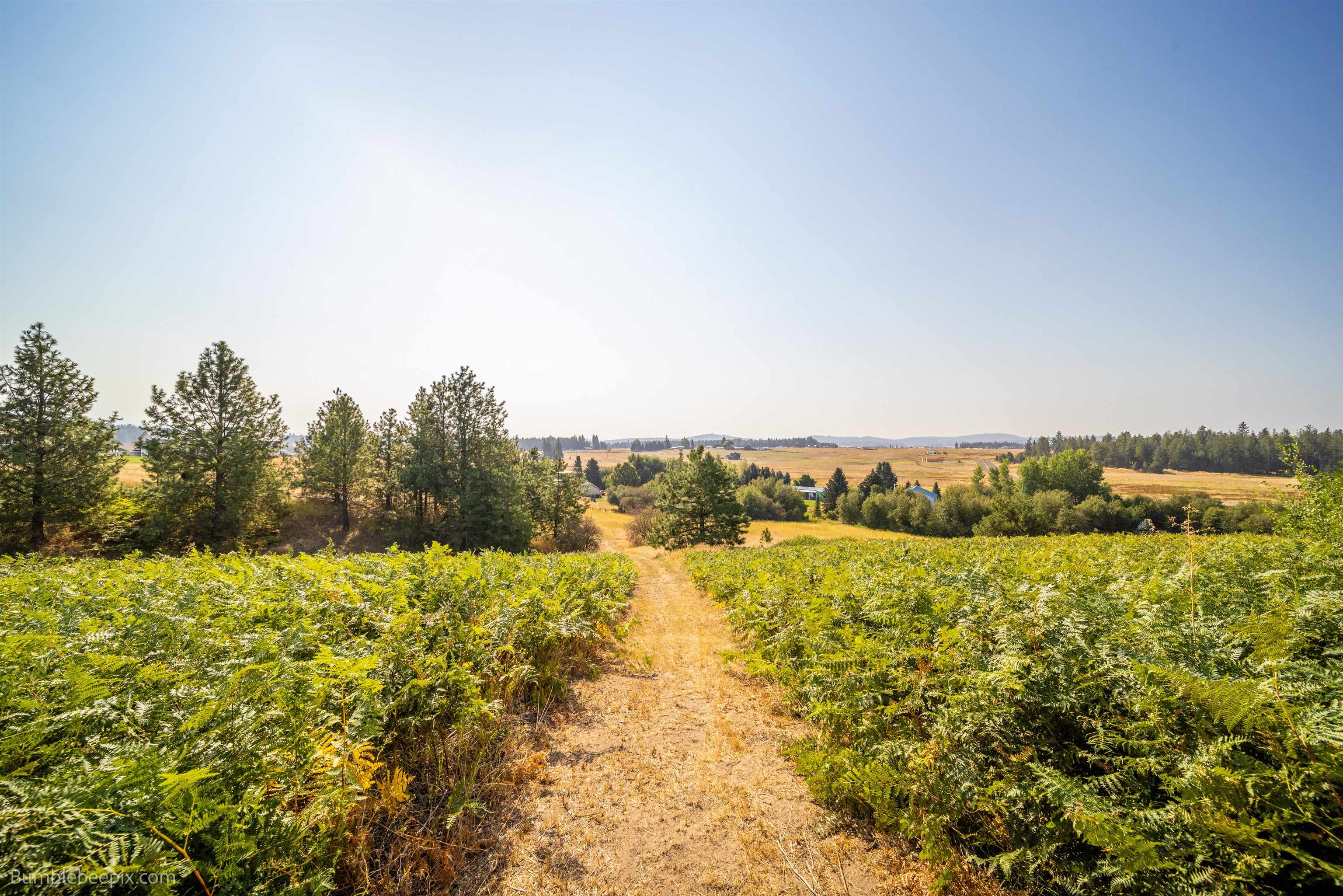27211 North Monroe Road Deer Park, WA 99006 - Photo 41 of 49 Gallery Image 41