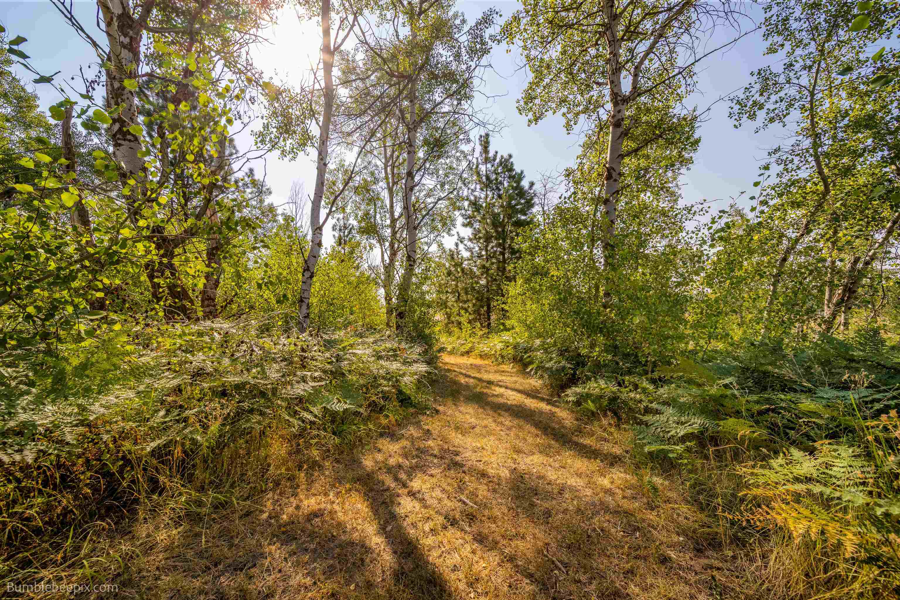 27211 North Monroe Road Deer Park, WA 99006 - Photo 42 of 49 Gallery Image 42