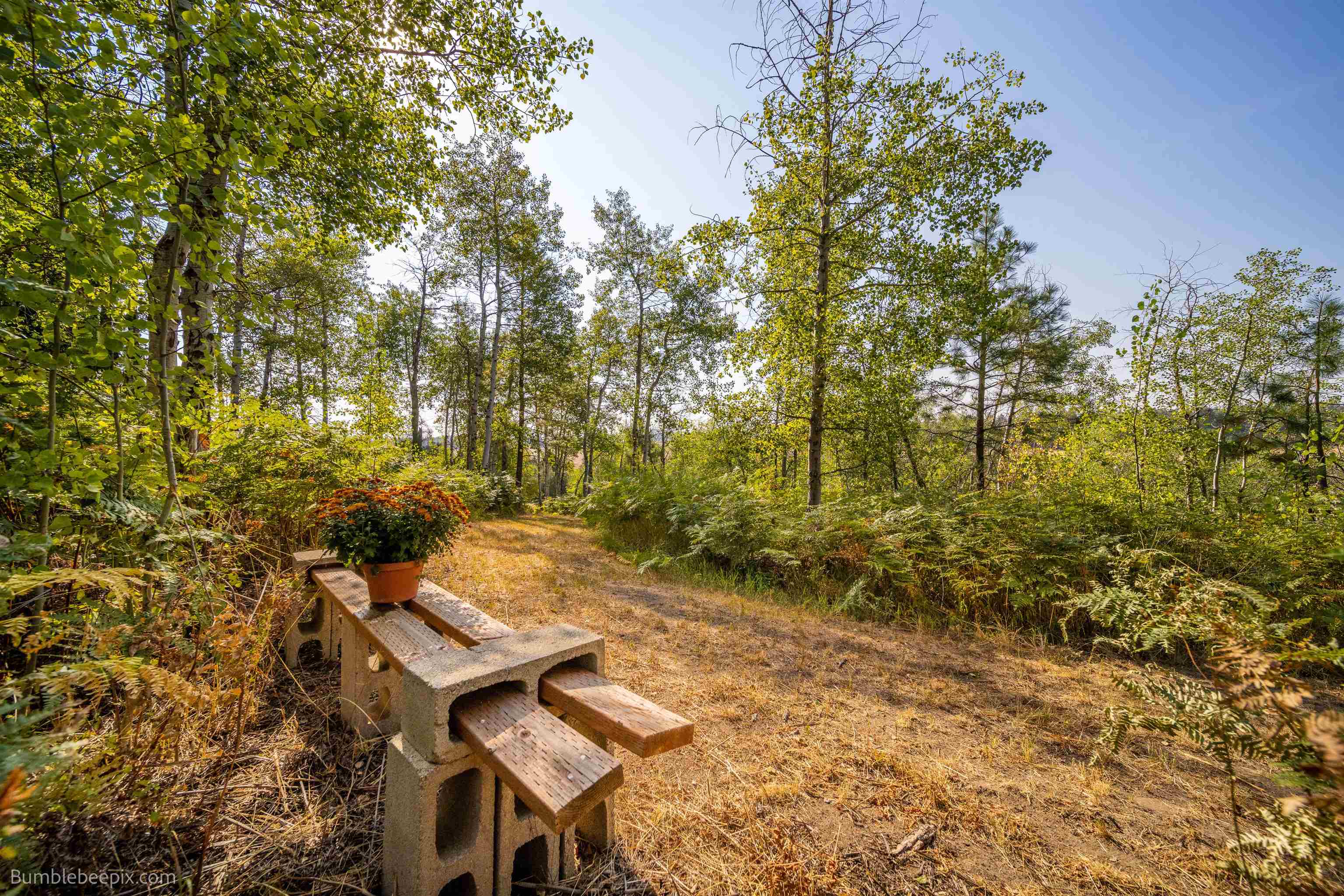 27211 North Monroe Road Deer Park, WA 99006 - Photo 43 of 49 Gallery Image 43