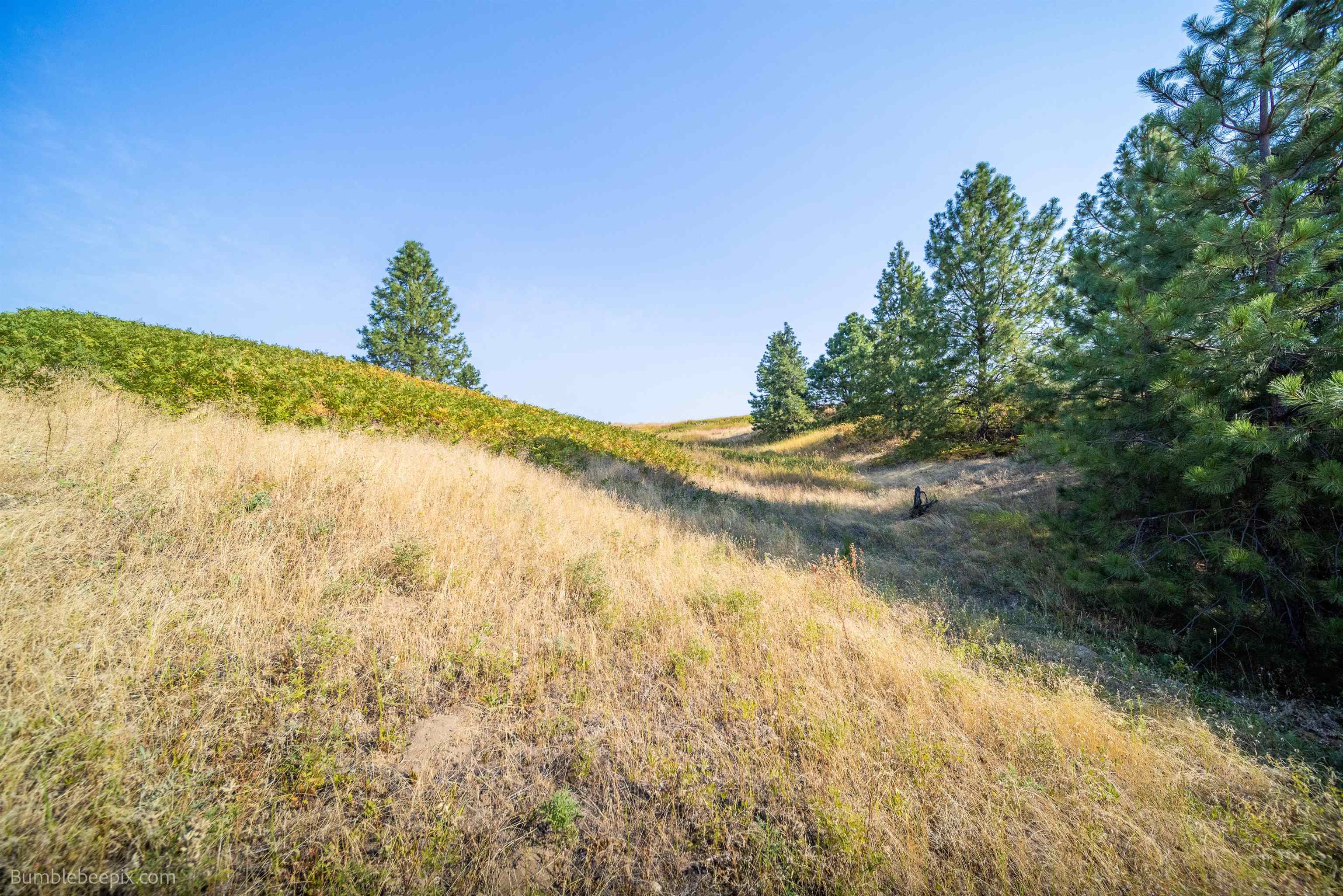 27211 North Monroe Road Deer Park, WA 99006 - Photo 45 of 49 Gallery Image 45