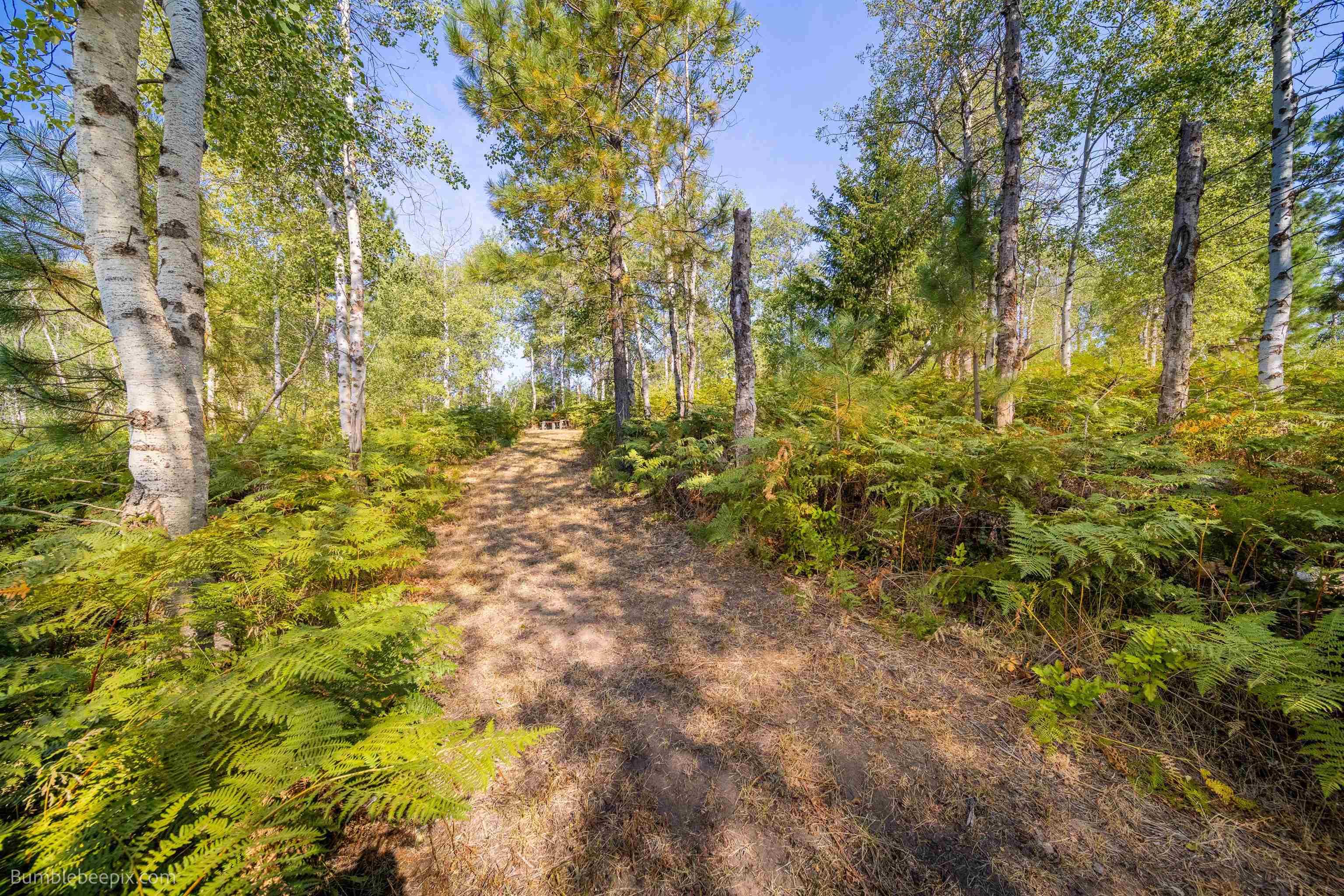 27211 North Monroe Road Deer Park, WA 99006 - Photo 47 of 49 Gallery Image 47