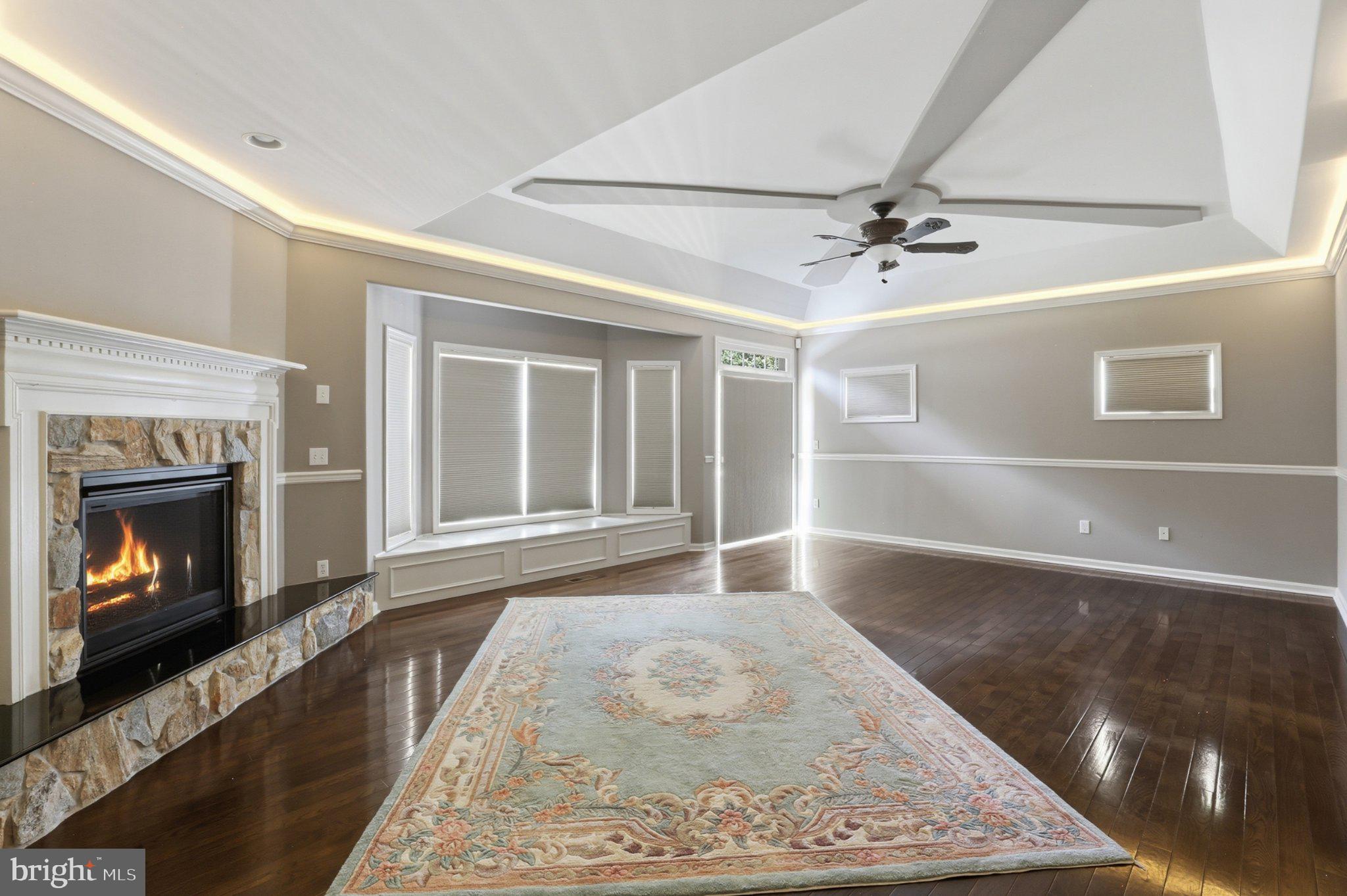 16932 Fitzgeralds Road Lincoln, DE 19960 - Photo 46 of 103 Elegant living space with cozy fireplace.