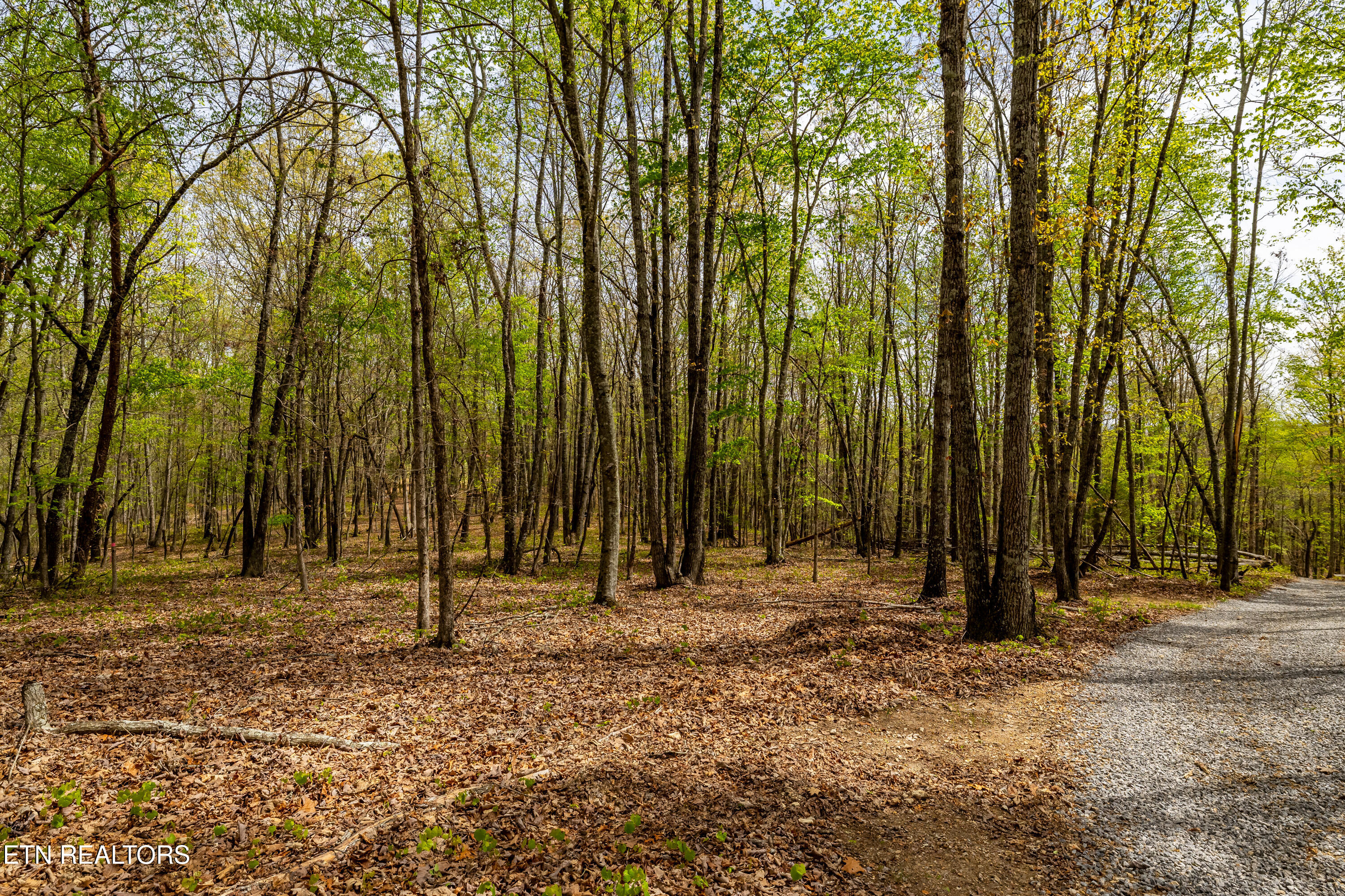 702 Dogwood Valley Road Kingston, TN 37763 - Photo 45 of 47 702DogwoodValleyRd-82