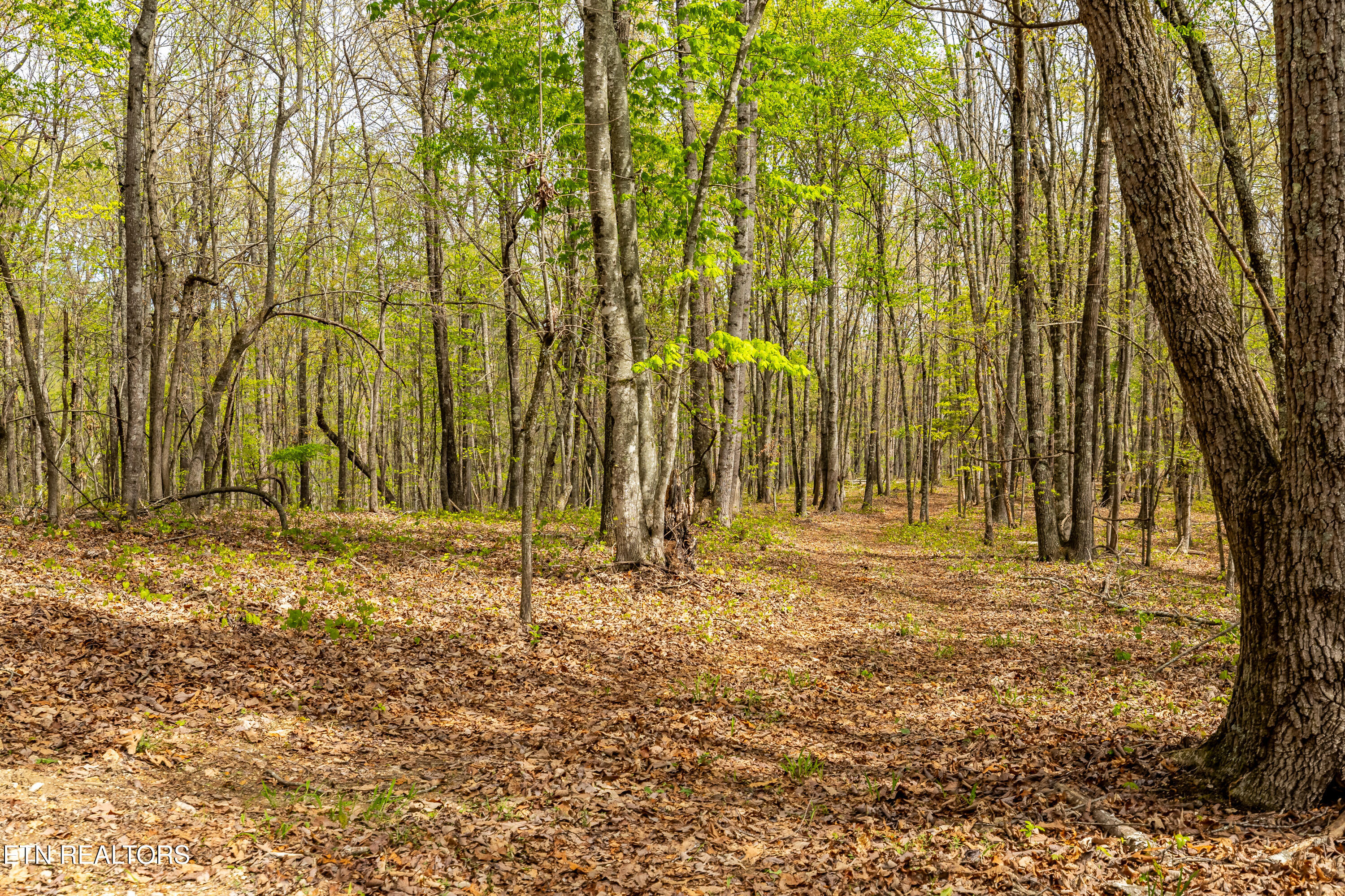 702 Dogwood Valley Road Kingston, TN 37763 - Photo 46 of 47 702DogwoodValleyRd-83