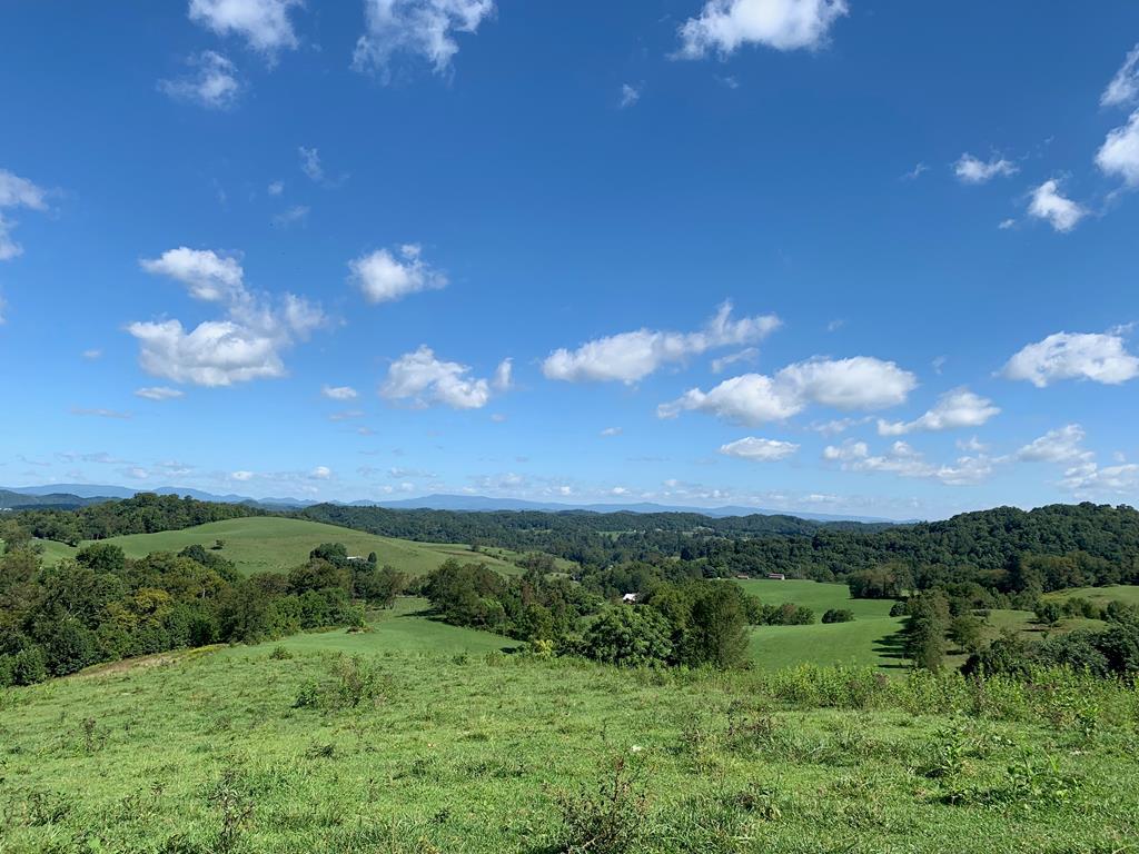 Tbd Bluff Hollow Road, Unit TRACT B Damascus, VA 24236 - Photo 1 of 1 Gallery Image 1