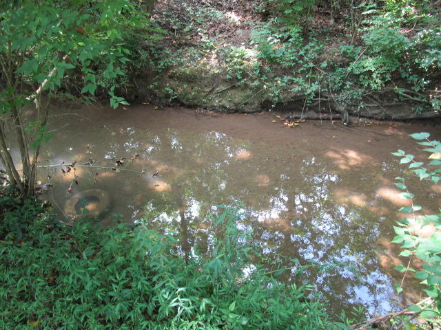 3308 Cunningham Road Knoxville, TN 37918 - Photo 12 of 17 IMG_0368