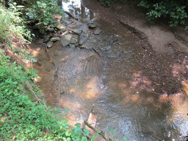 3308 Cunningham Road Knoxville, TN 37918 - Photo 14 of 17 IMG_0370