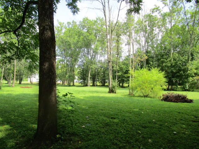 3308 Cunningham Road Knoxville, TN 37918 - Photo 15 of 17 IMG_0371