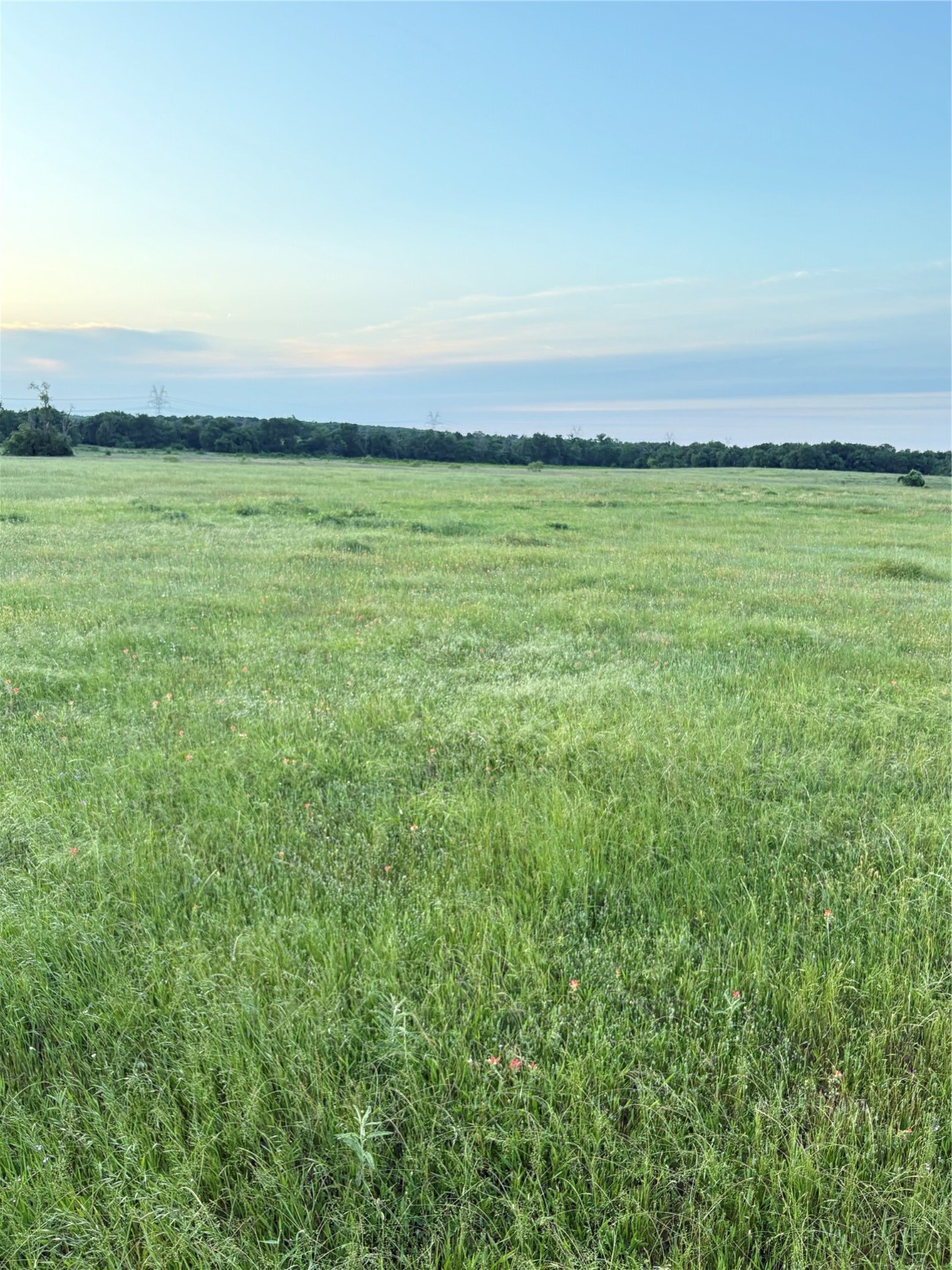 0 Fm-2293 Bremond, TX 76629 - Photo 1 of 12