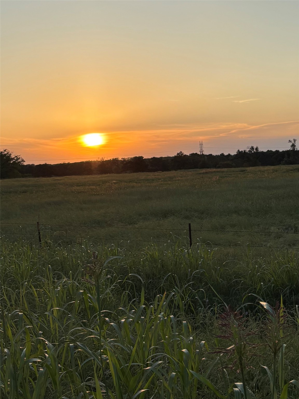 0 Fm-2293 Bremond, TX 76629 - Photo 12 of 12