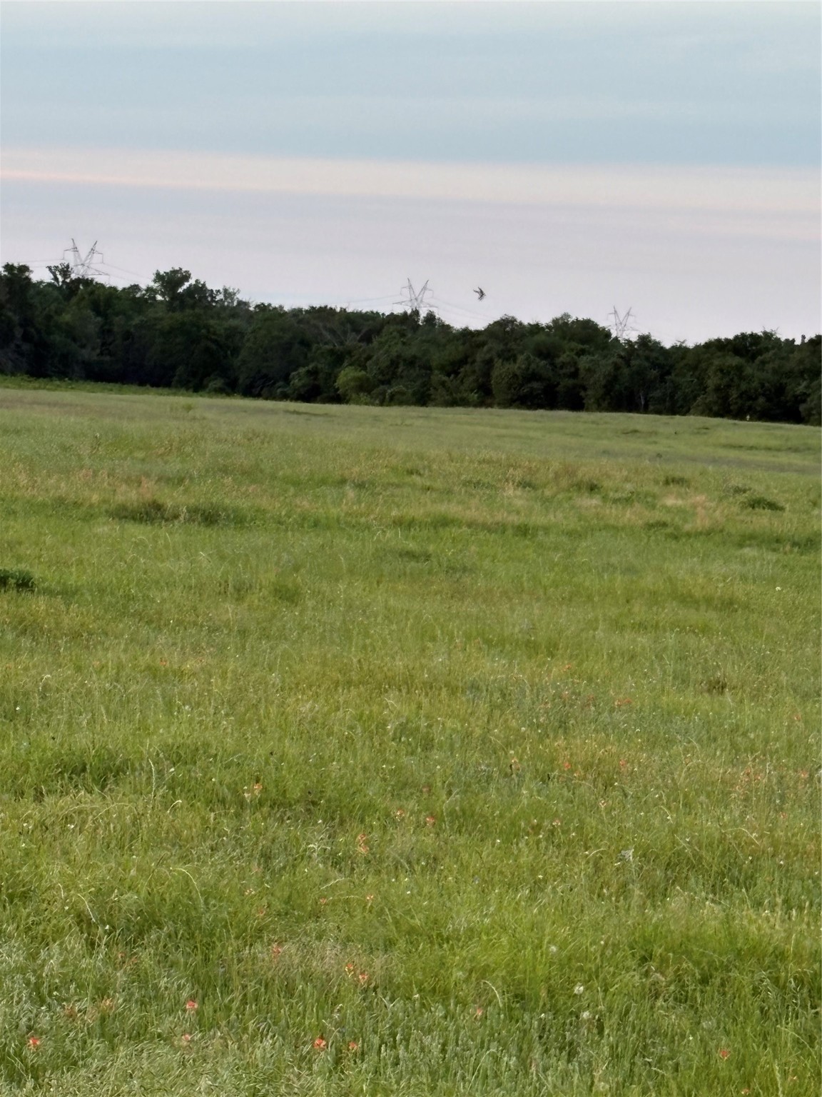 0 Fm-2293 Bremond, TX 76629 - Photo 3 of 12