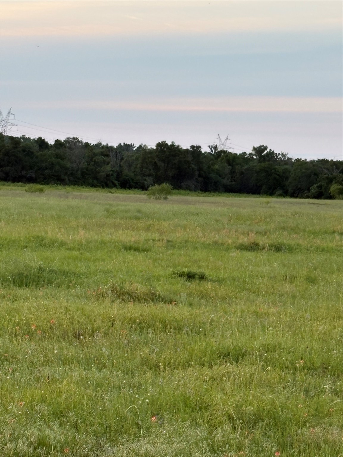 0 Fm-2293 Bremond, TX 76629 - Photo 5 of 12