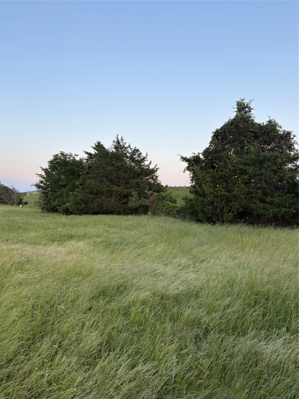 0 Fm-2293 Bremond, TX 76629 - Photo 6 of 12