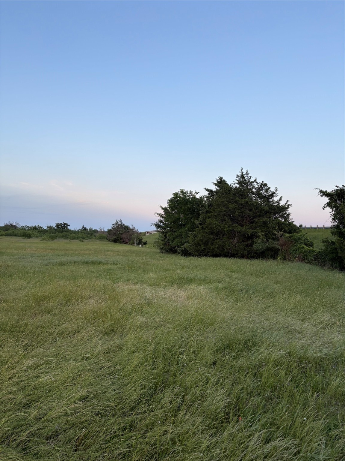 0 Fm-2293 Bremond, TX 76629 - Photo 9 of 12