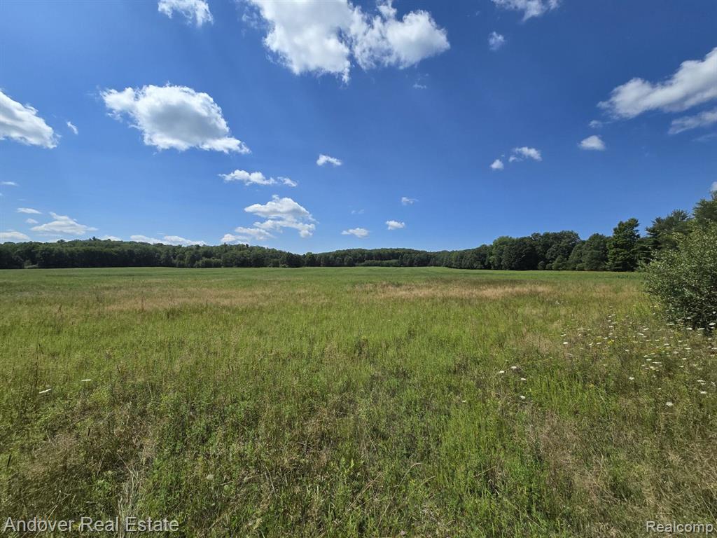 B Leckrone Road Brethren, MI 49619 - Photo 6 of 7