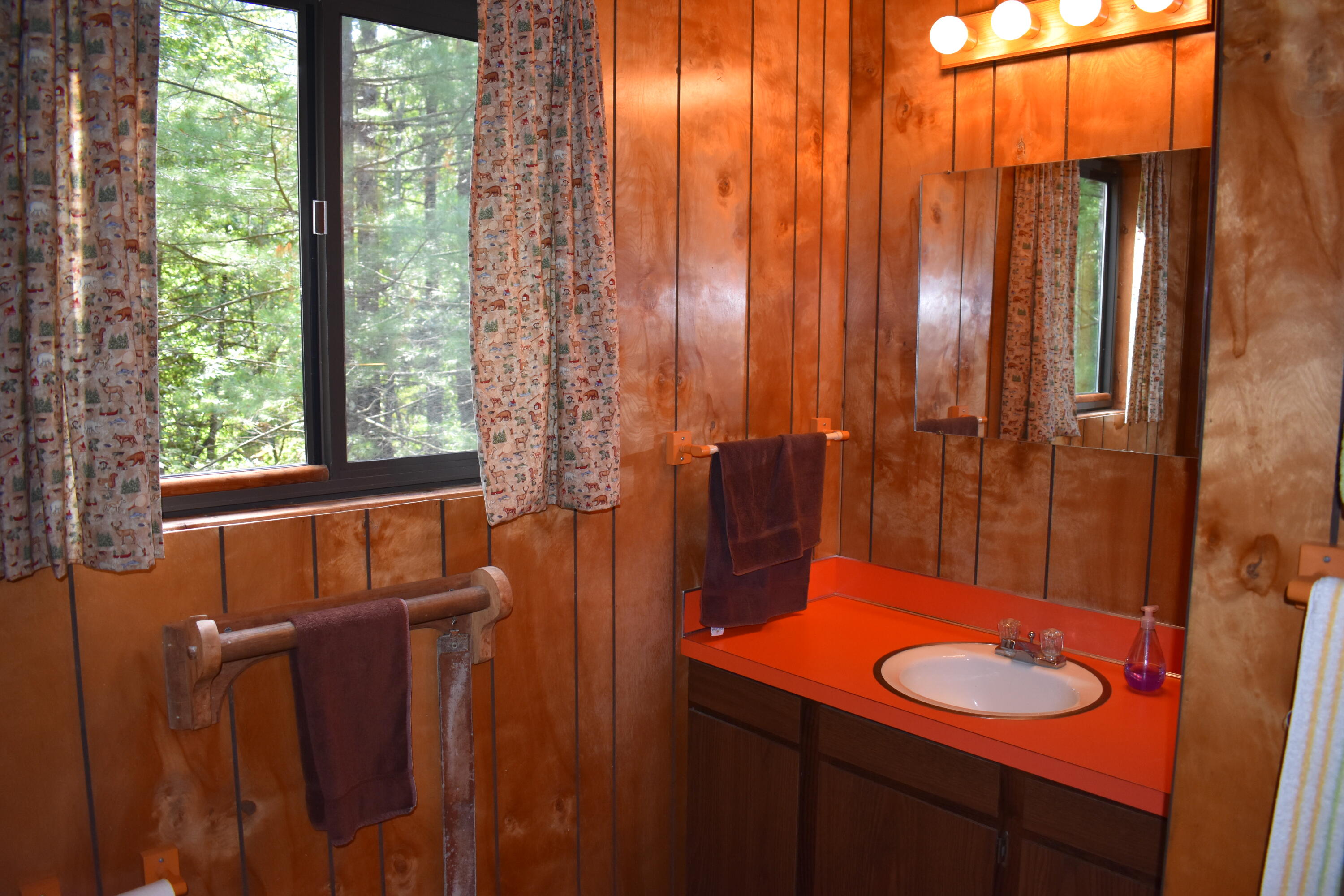 8195 East Lucek Road Branch, MI 49402 - Photo 18 of 31 DSC_0059