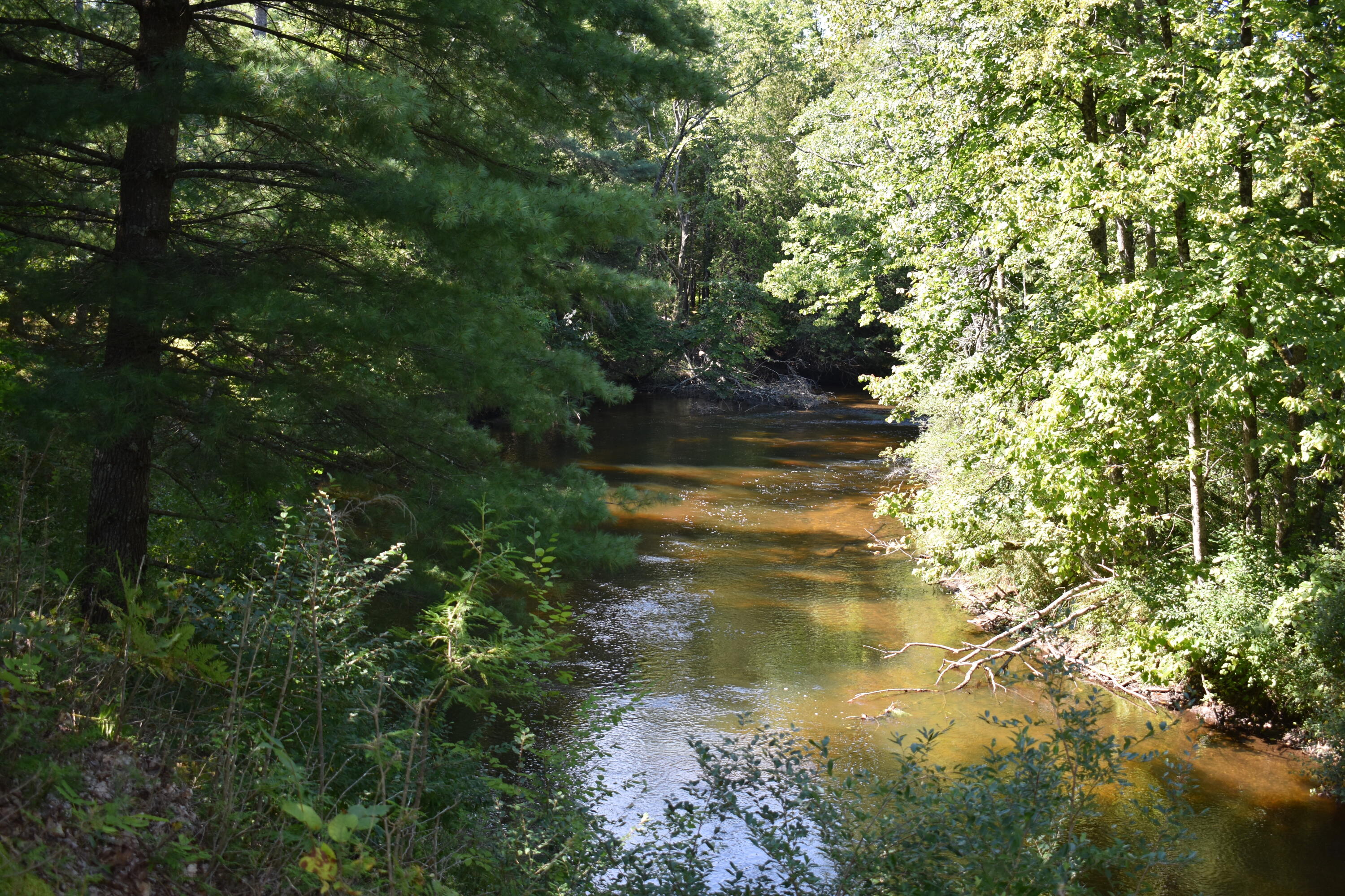 8195 East Lucek Road Branch, MI 49402 - Photo 20 of 31 DSC_0044