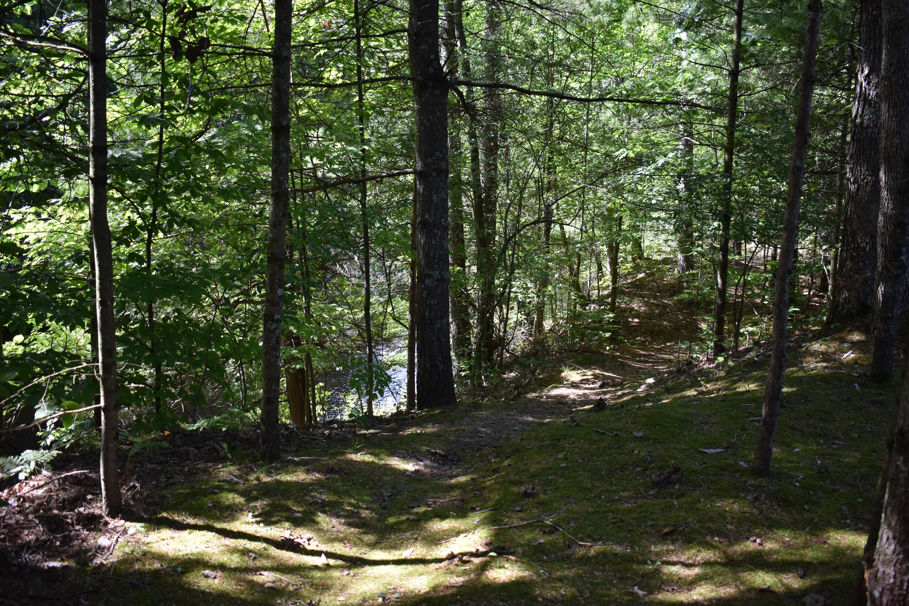 8195 East Lucek Road Branch, MI 49402 - Photo 22 of 31 DSC_0049