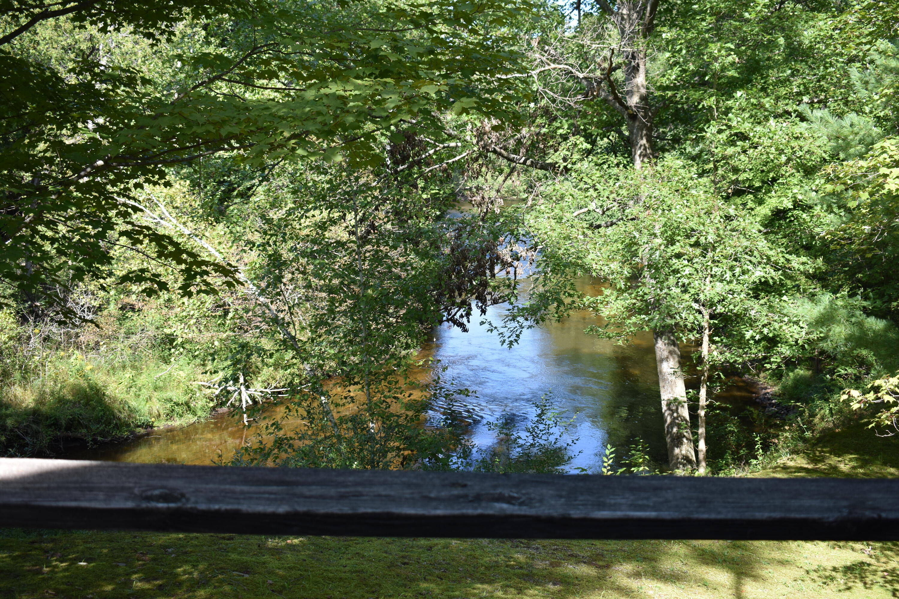 8195 East Lucek Road Branch, MI 49402 - Photo 24 of 31 DSC_0052