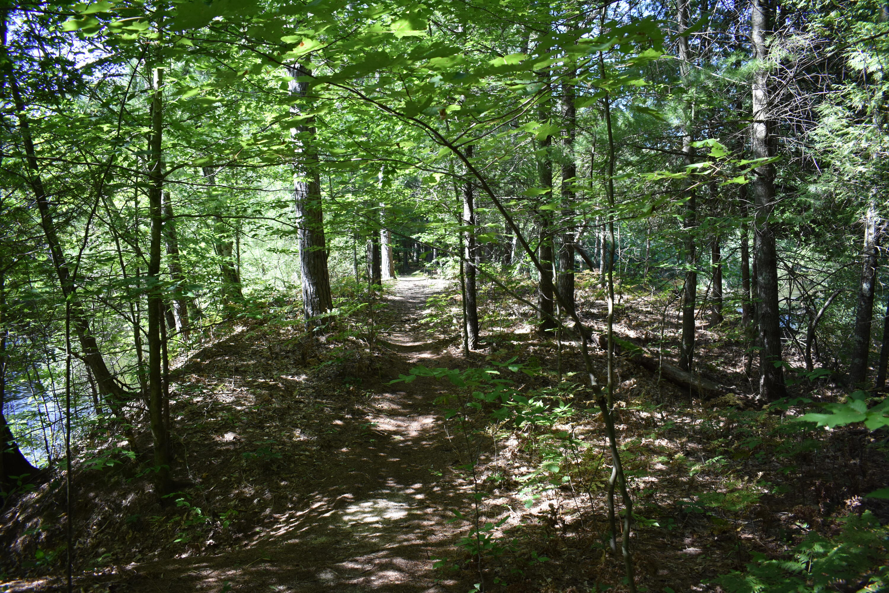 8195 East Lucek Road Branch, MI 49402 - Photo 27 of 31 DSC_0053