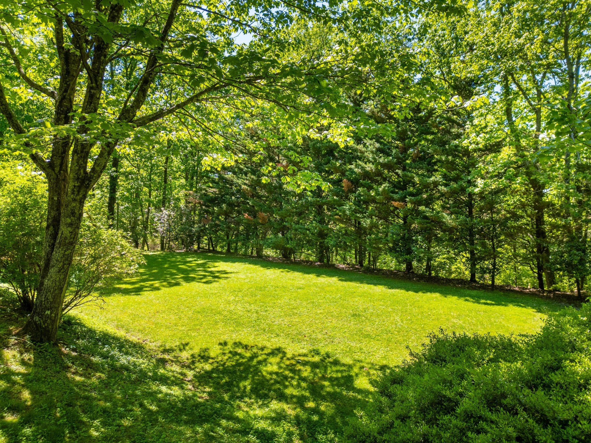 1115 Cumberland Road Chattanooga, TN 37419 - Photo 42 of 47 Gallery Image 42