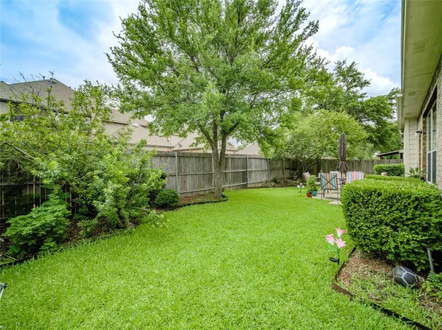 a view of a backyard with plants and large trees
