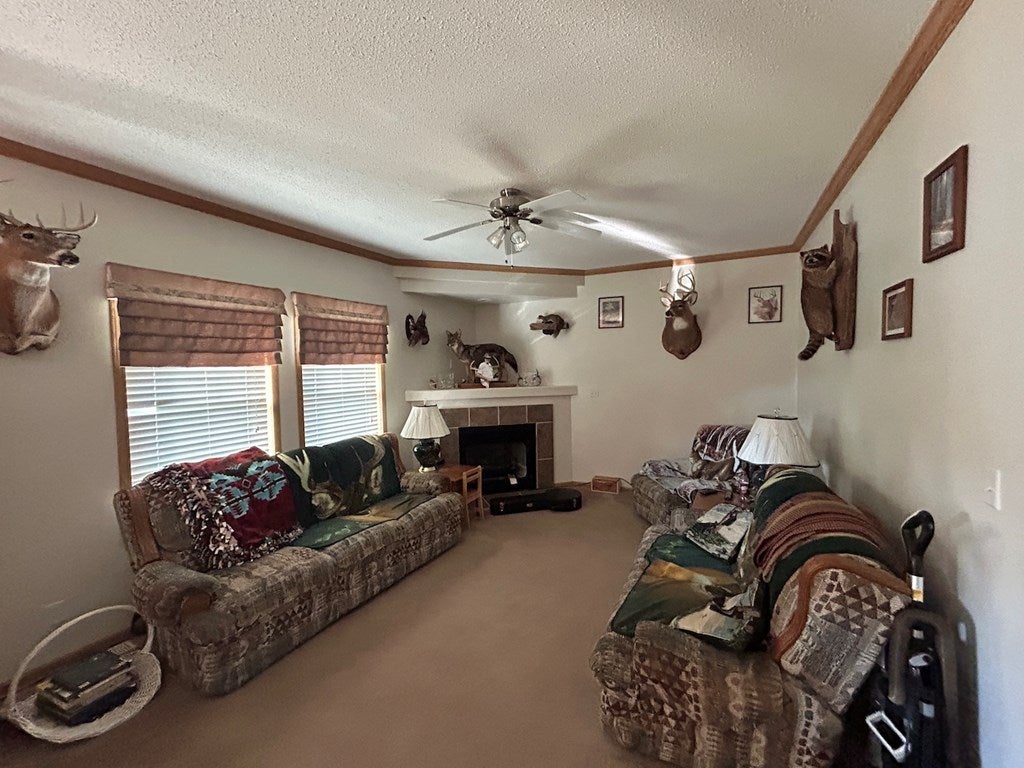 839 Grouse Ridge Road Max Meadows, VA 24360 - Photo 4 of 45 Gallery Image 4