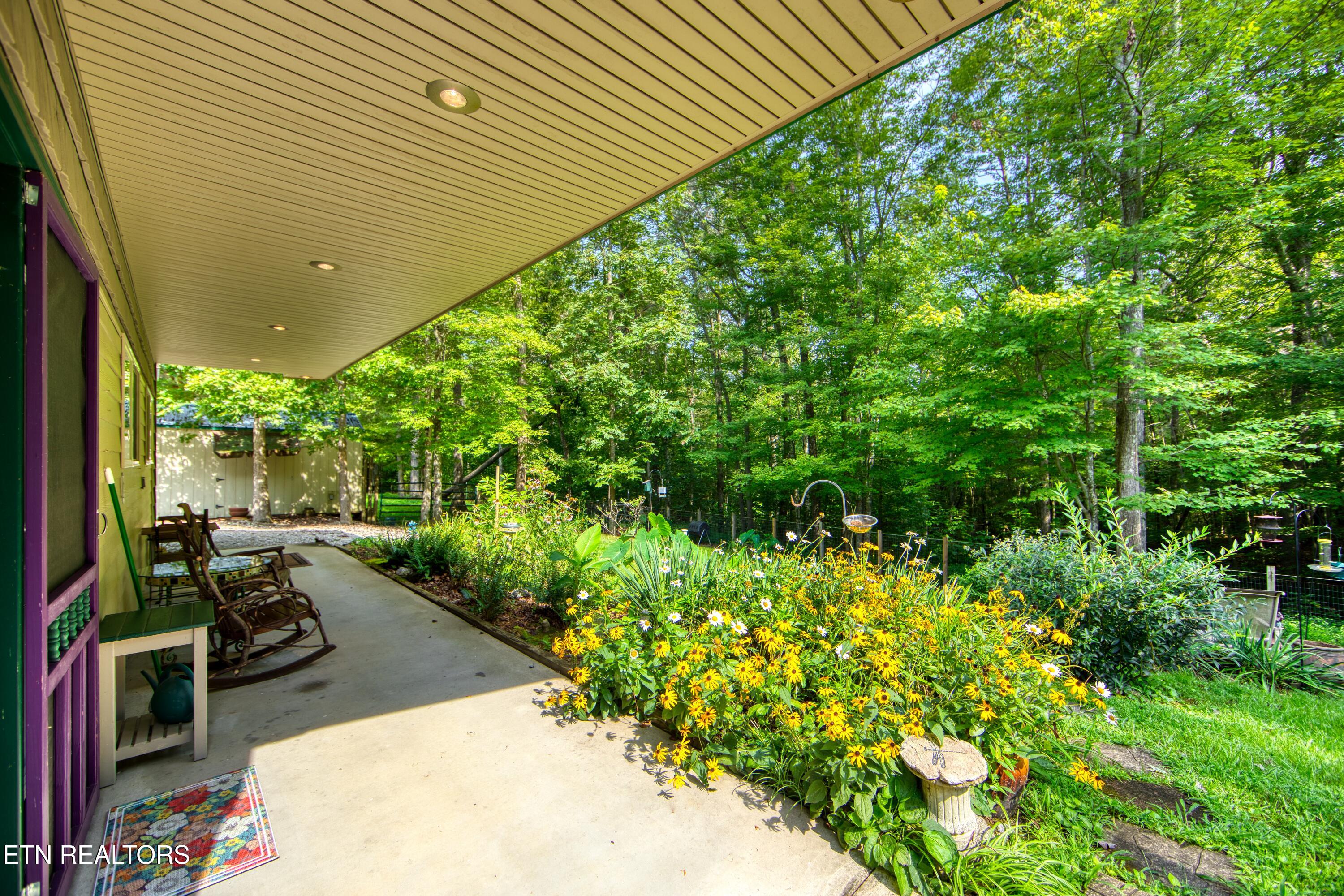 326 Goad Mill Road Allardt, TN 38504 - Photo 9 of 15 EK3A1877
