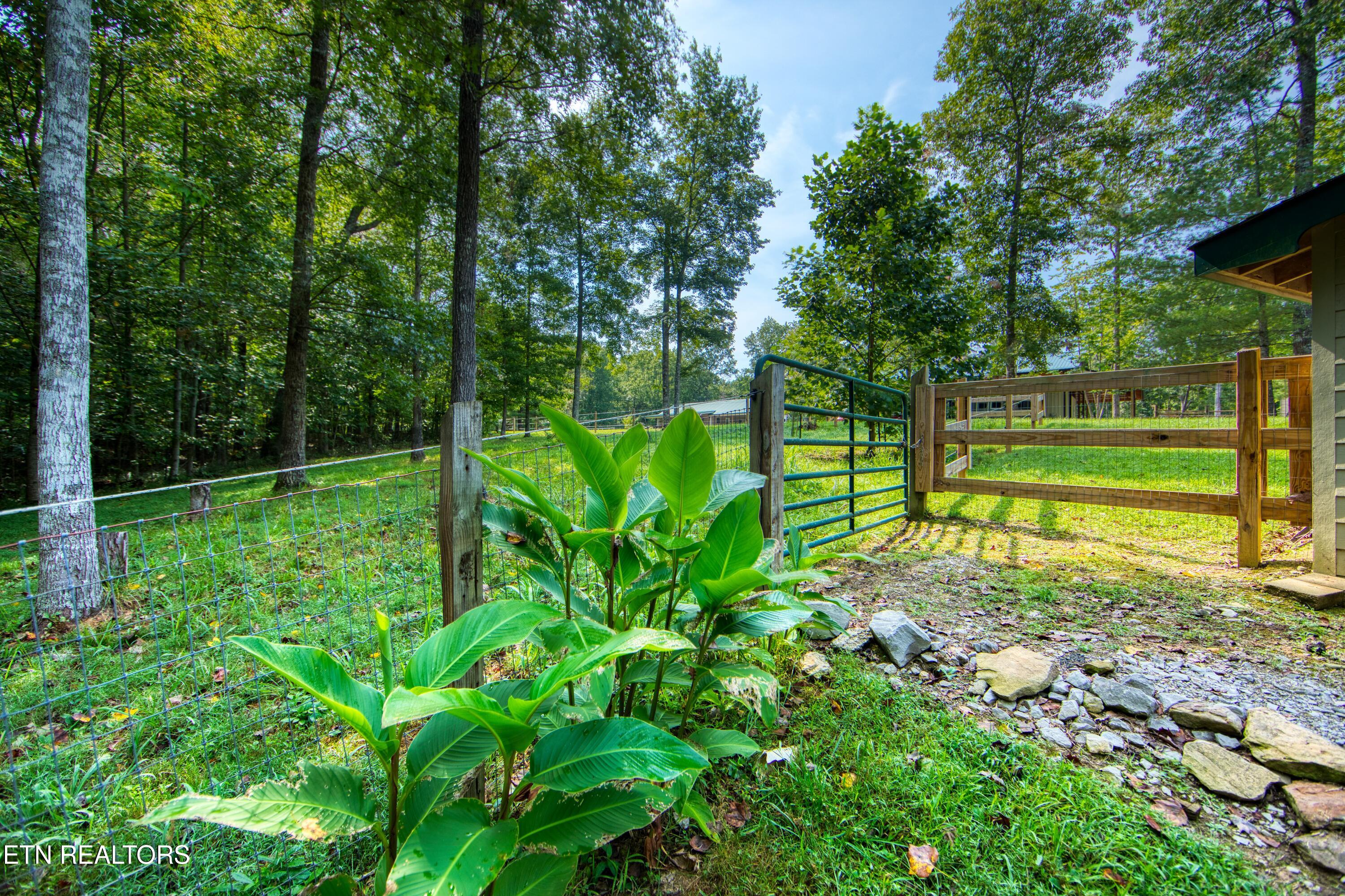 326 Goad Mill Road Allardt, TN 38504 - Photo 10 of 15 EK3A1893