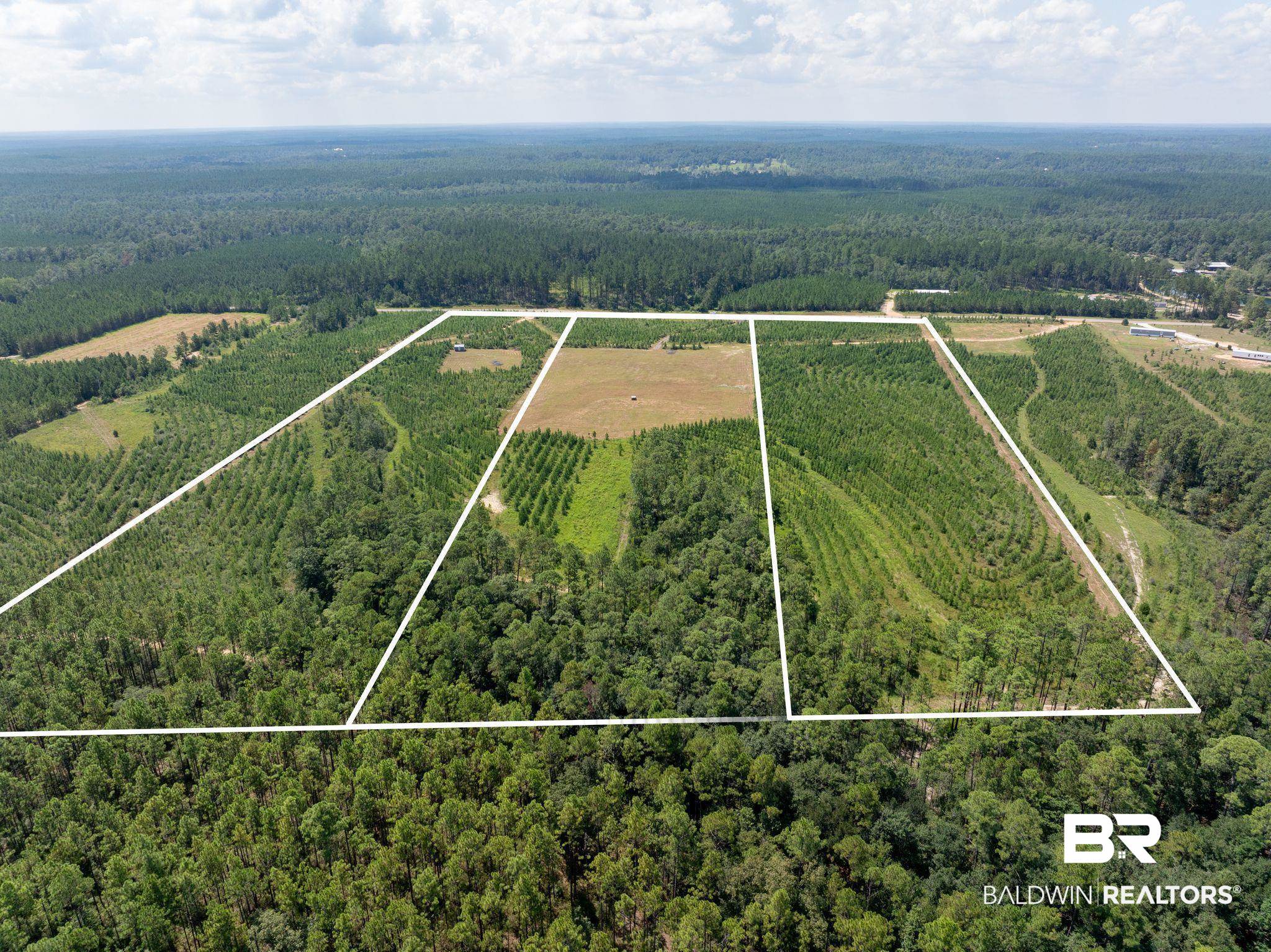0 Horseneck Road Bay Minette, AL 36507 - Photo 11 of 11