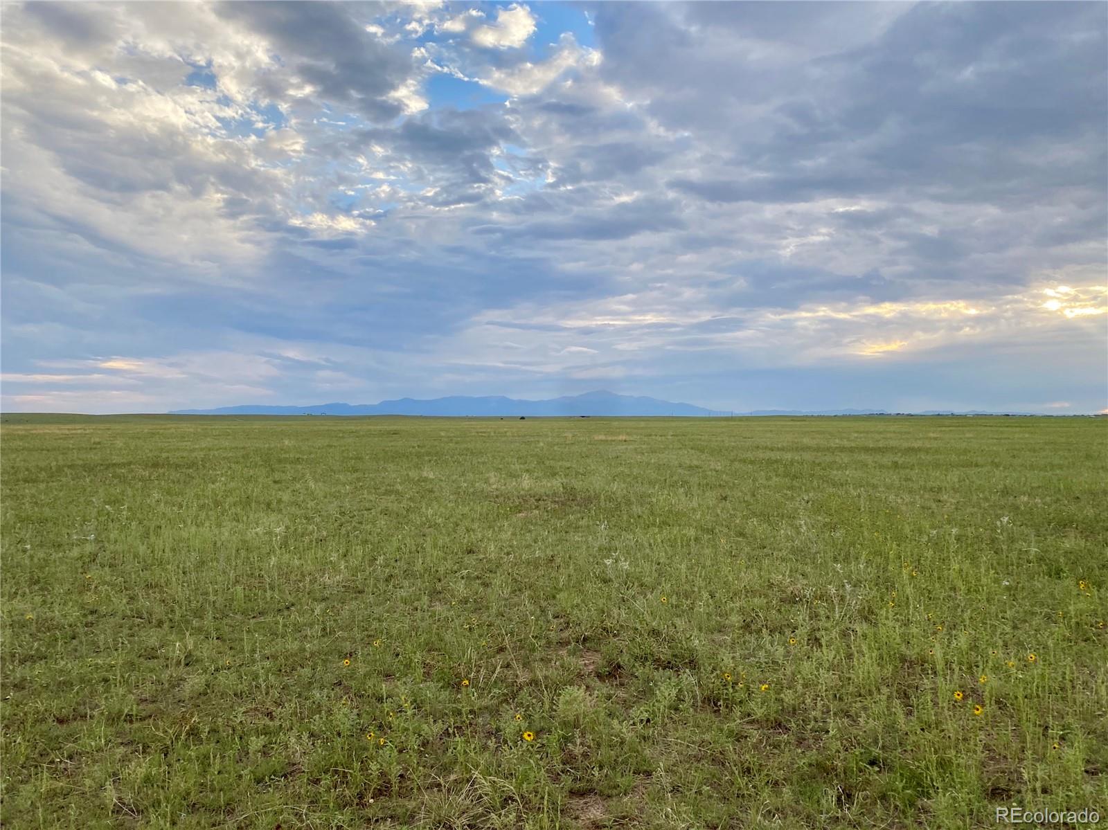 3 North Log Road Calhan, CO 80808 - Photo 3 of 10 a view of yard with ocean