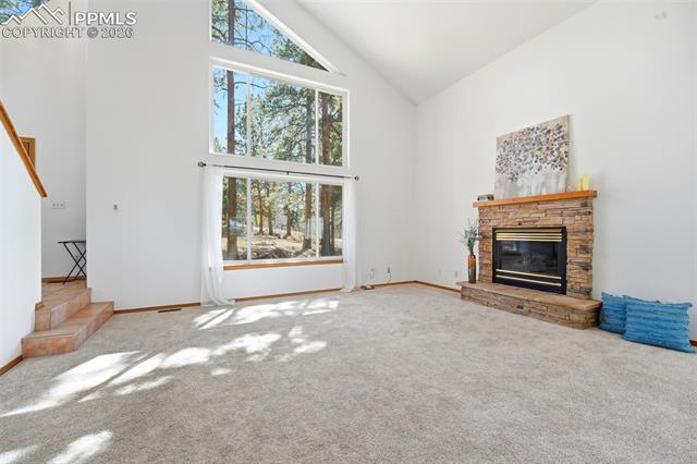 1100 Pine Ridge Road Woodland Park, CO 80863 - Photo 3 of 49
