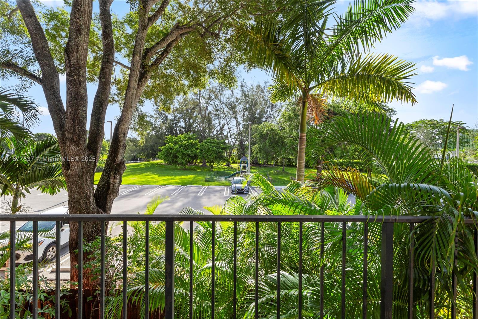 a view of a yard with a tree