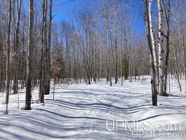Tbd Worham Road Chassell, MI 49916 - Photo 43 of 45 Gallery Image 43